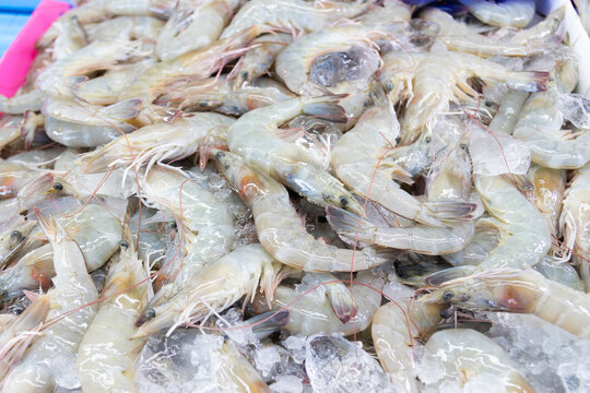 pile of fresh raw shrimp on ice in market