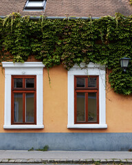 Fototapeta na wymiar Beautiful and colorful wooden window in Szentendre, Hungary 