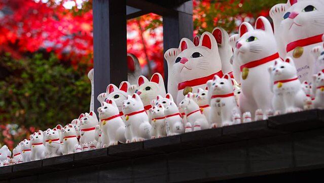 Maneki Neko (beckoning cat) at Shofukuden Gotokuji Temple