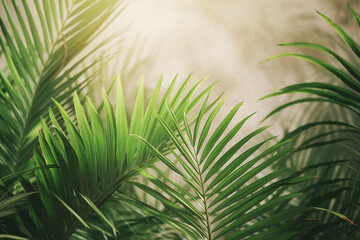 Palm Sunday concept: Green palm leaves on blurred background - obrazy, fototapety, plakaty