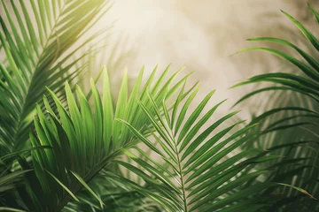 Poster Palm Sunday concept: Green palm leaves on blurred background © Patrick