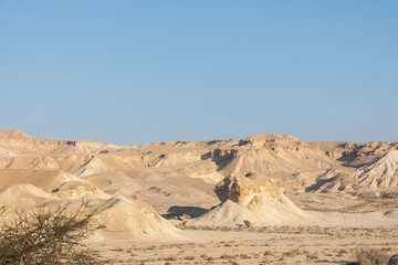 Negev Desert landscape in southern Israel during the summer. Desert volcanic rocks nature