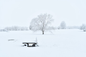 Snowy Farm Field