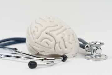 Model of a human brain with a stethoscope around it on a white background.