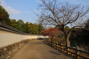 Fototapeta na wymiar Himeji Castle moat and autumn leaves in the early morning in Himeji, Japan