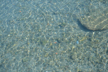 葉山の景色　Hayama View