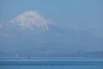 葉山の景色　Hayama View
