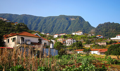 Fototapeta na wymiar Traditional houses in Faial, a mountainous, lush and colorful village on Madeira island, Portugal