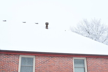 Snow on the Roof of a House