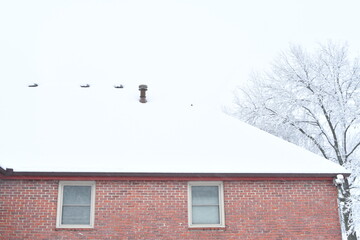 Snow on the Roof of a Brick House