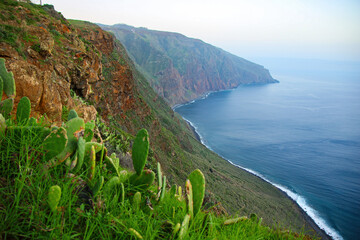 Sea cliffs at Ponta do Pargo on the western coast of Madeira island (Portugal) in the Atlantic Ocean