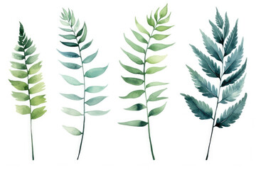 Watercolor nature botanical leaves botany plant