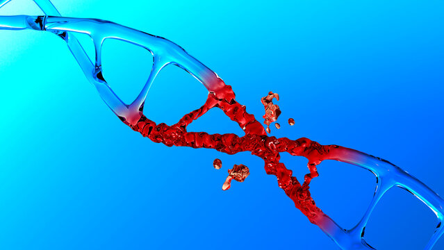 human dna structure with glass helix destroyed, transition to liquid, deoxyribonucleic acid on blue background, nucleic acid molecules, change, break in chemical structure, 3d rendering, copy space