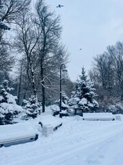 Winter park, snowy city park, no people