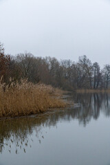 Winterimpressionen aus dem UNESCO Biosphärenreservat Oberlausitzer Heide- Teichlandschaft- Teichgebiet Milkel 3
