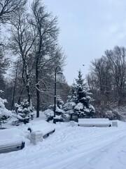 Winter park, snowy city park, no people