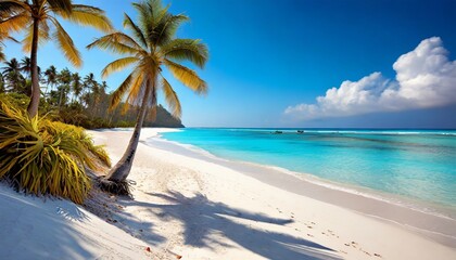 perfect tropical beach