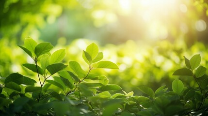 Enchanting Garden Bliss: Lush Green Leaves Basking in the Summer Sunlight, a Captivating Nature Scene Full of Freshness and Vibrancy