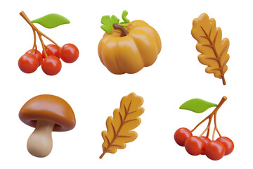 Set of autumn themed elements. Vector 3D decorations for web design. Oak leaf, bunch of red berries, pumpkin, mushroom. Color templates in cartoon style