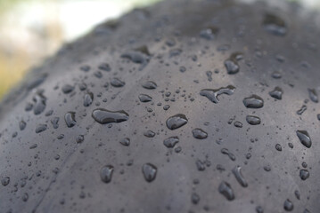 Neige fondue sur pneu