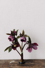 Beautiful helleborus composition on kenzan on aged wooden background. Spring rustic flowers still life. First spring flowers gardening