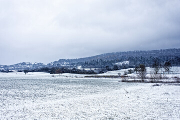 Fototapeta premium A wonderful winter forest in Bavaria