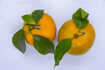 Orange Tangerine Green Citrus Fruit with leaves in isolated white background