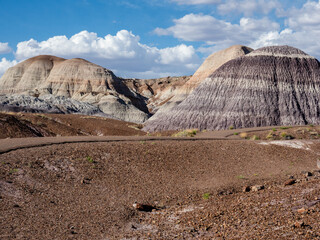 Scenic landscape along Blue Mesa Trail in Petrified Forest National Park - Arizona, USA