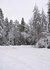 Fototapeta na wymiar Turning road, bending road covered with snow in a snowy forest during the day