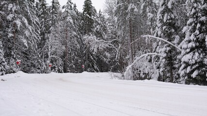 Turning road, bending road covered with snow in a snowy forest during the day