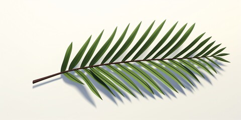 Green Palm Leaf on White Background Generative AI