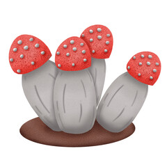 three mushrooms on a white background