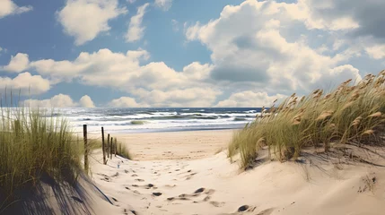 Papier Peint photo Lavable Mer du Nord, Pays-Bas Path to the beach through the dunes