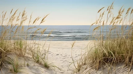 Poster de jardin Mer du Nord, Pays-Bas Path to the beach through the dunes