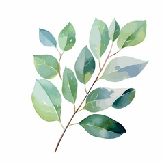 Watercolor vector illustration of a wreath made of green eucalyptus leaves and branches.