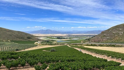 Riebeek Valley, Cape Town, South Africa © Wirestock