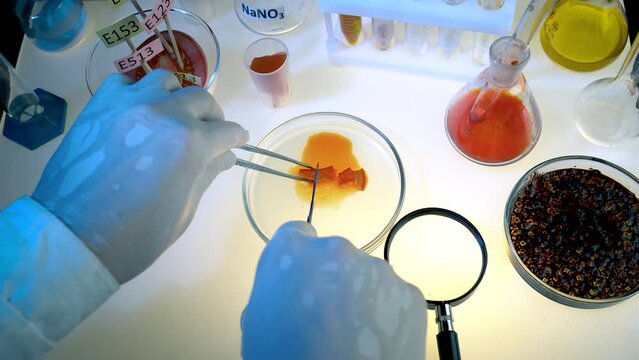 Examining supermarket products for the presence of food additives. Food laboratory.