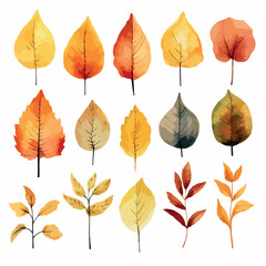 Watercolor vector illustration of an autumn set of leaves, branches, flowers, and pumpkins isolated on white background.
