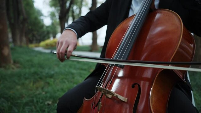 person playing the cello