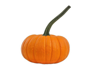 pumpkin isolated on white background