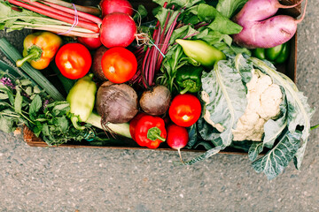 Pile of assorted vegetables in box