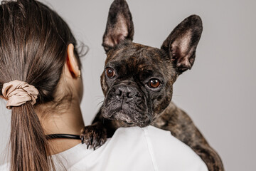 A female veterinarian or groomer holds a cute French bulldog in her arms on a light background. The concept of medical examination, veterinary medicine and animal care.