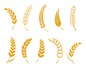 Set of simple icons of golden ears of wheat.  Wheat logo design elements for beer, organic fresh food corn farm,  grain element, wheat simple pattern. Vector illustration.