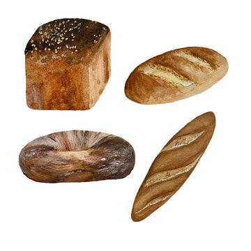 Loaf round black set bread watercolor illustration