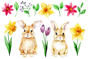 set of cute Easter bunnies and spring flowers. daffodils, tulips, holiday clipart