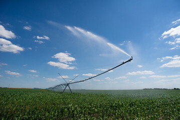 Agricultural irrigation system watering corn field on a sunny summer day.