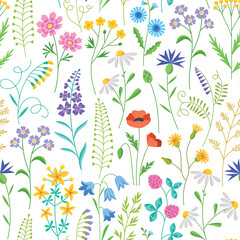 Beautiful meadow flowers pattern. Wild ornamental plants, summer blooming herbs, repeated botanical elements, vector seamless background.eps