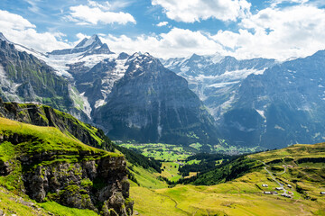 panoramic view of the Reeti and Faulhorn mountains from Grindelwald First (Switzerland) in summertime - obrazy, fototapety, plakaty