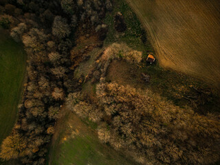 Bäume im Spätherbst drone view