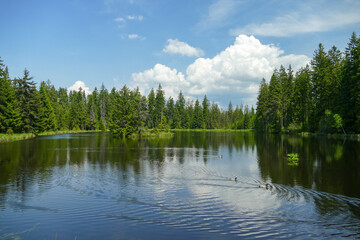 West Czechia landscape (Slavkovsky les) lake in forest, Kladska, Czech Republic